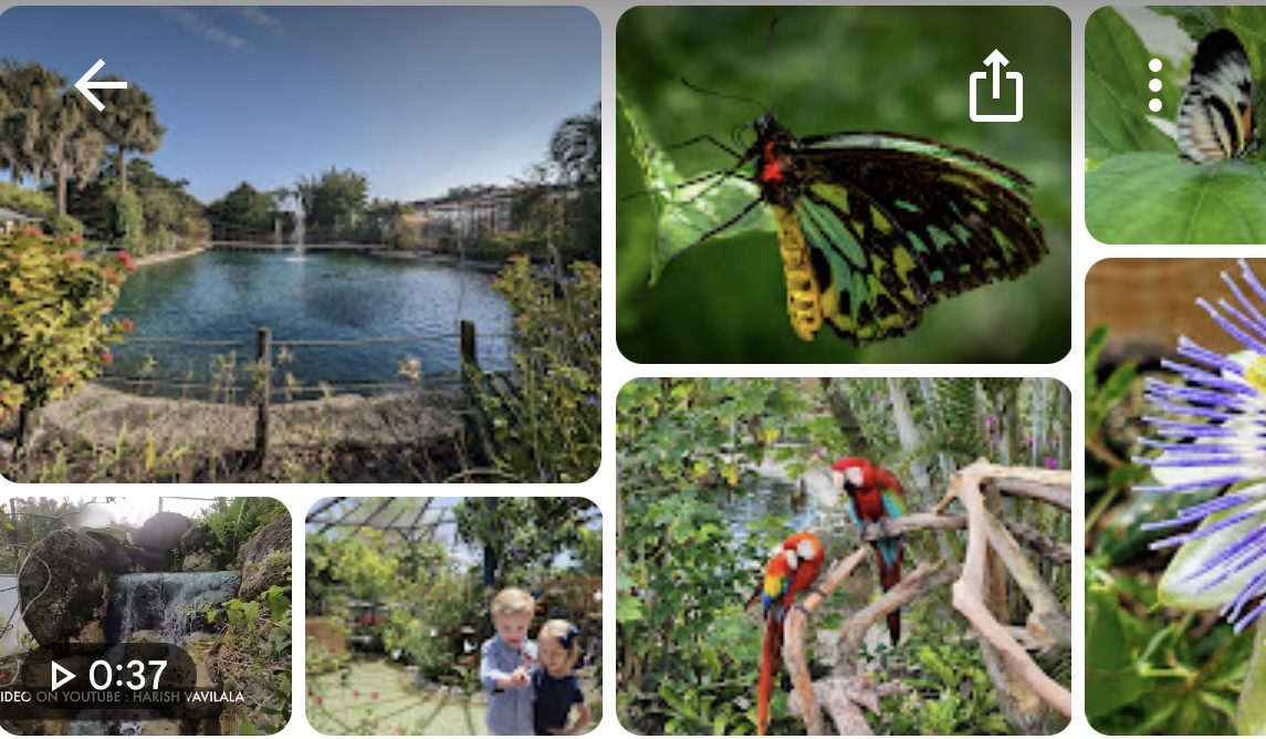 Butterfly World